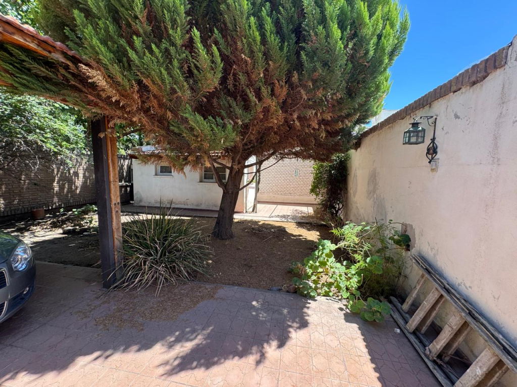 1901768249601WhatsAppImage2025-12-12at12.40.47PM