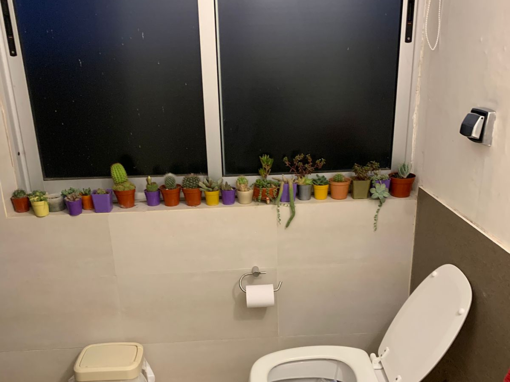 1931771877314WhatsAppImage2026-02-09at11.24.15AM(6)